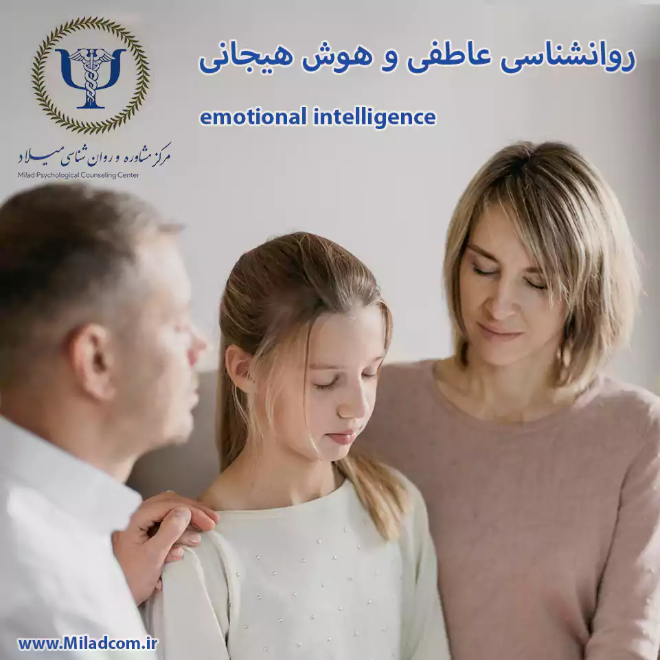 روانشناسی عاطفی شاخه‌ای از روانشناسی است که به مطالعه احساسات و هیجانات انسان می‌پردازد. هوش هیجانی نیز توانایی درک، مدیریت و استفاده از احساسات خود و دیگران است.